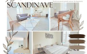 T2 neuf Le SCANDINAVE